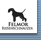 In collaborazione con - In partnership with: Felmor Reisenschnauzer